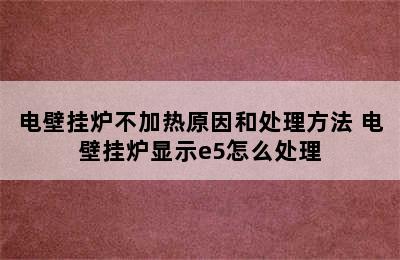 电壁挂炉不加热原因和处理方法 电壁挂炉显示e5怎么处理